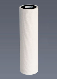 PP-HSCTO.jpg
